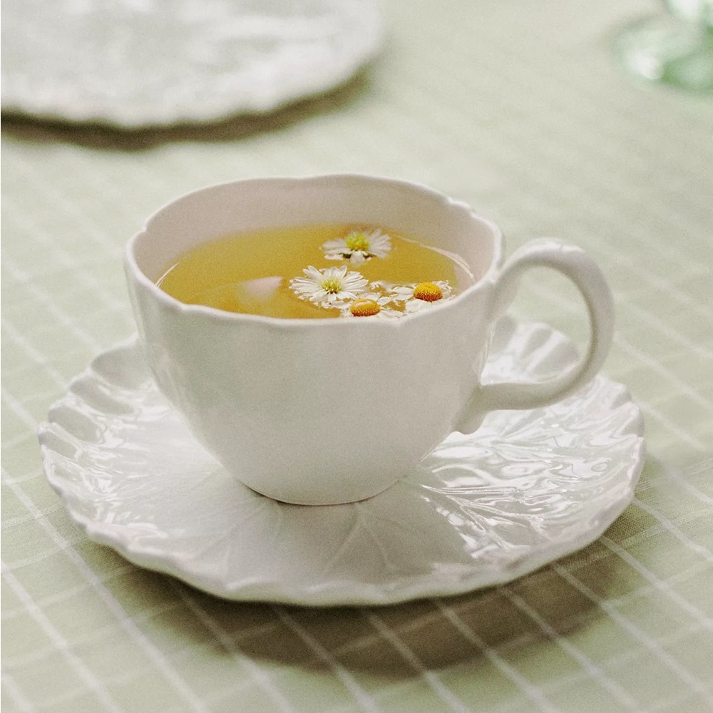 Anthropologie LILYPAD TEACUP AND SAUCER SET
Style No. 64754690 Cup & Saucer